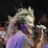 Robert Plant - Big Log
